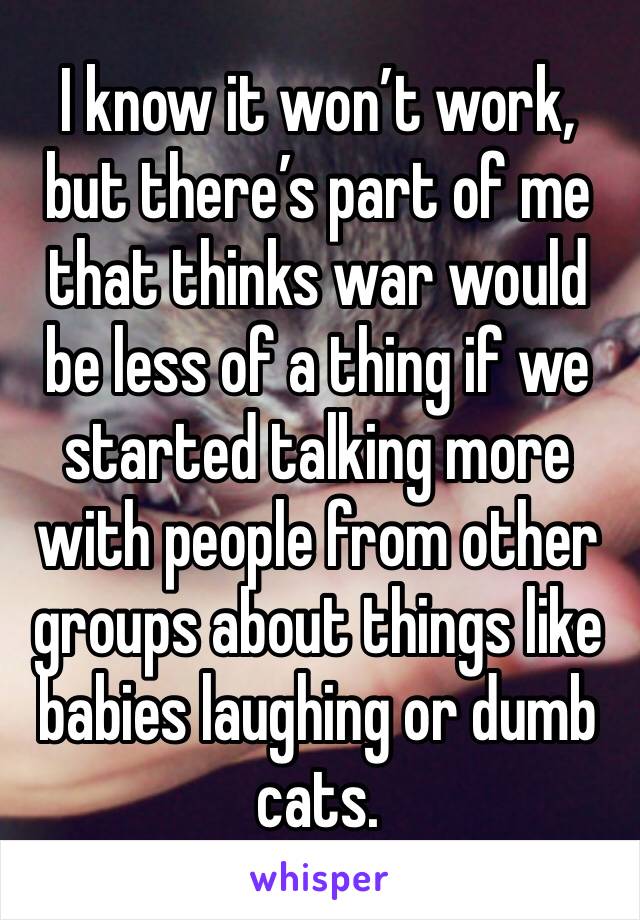 I know it won’t work, but there’s part of me that thinks war would be less of a thing if we started talking more with people from other groups about things like babies laughing or dumb cats.
