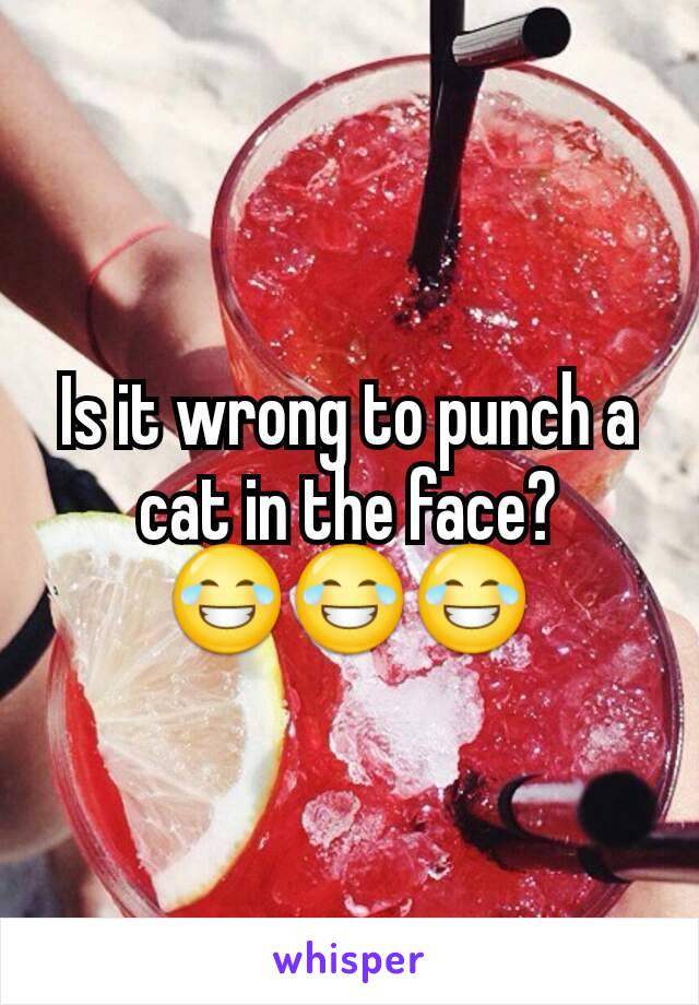 Is it wrong to punch a cat in the face?
😂😂😂