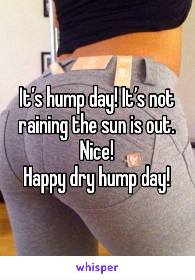 It’s hump day! It’s not raining the sun is out. Nice! 
Happy dry hump day!