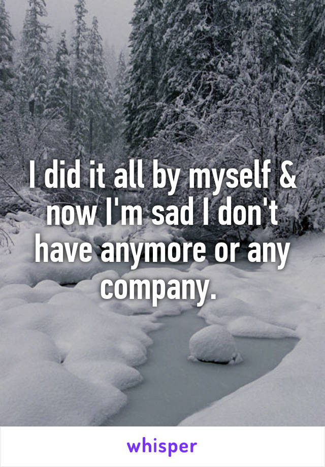 I did it all by myself & now I'm sad I don't have anymore or any company. 