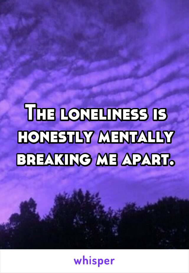 The loneliness is honestly mentally breaking me apart.