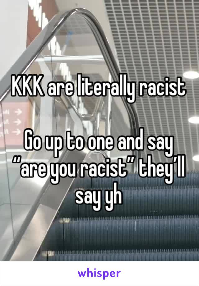 KKK are literally racist

Go up to one and say “are you racist” they’ll say yh