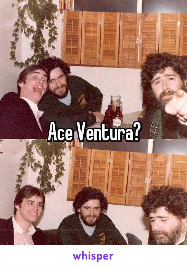 Ace Ventura?
