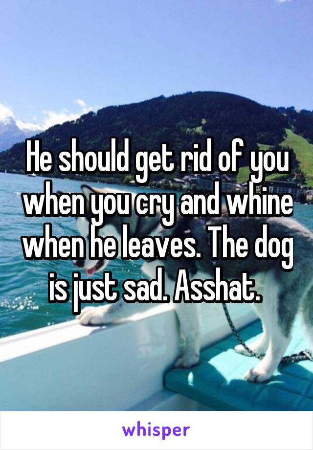 He should get rid of you when you cry and whine when he leaves. The dog is just sad. Asshat. 