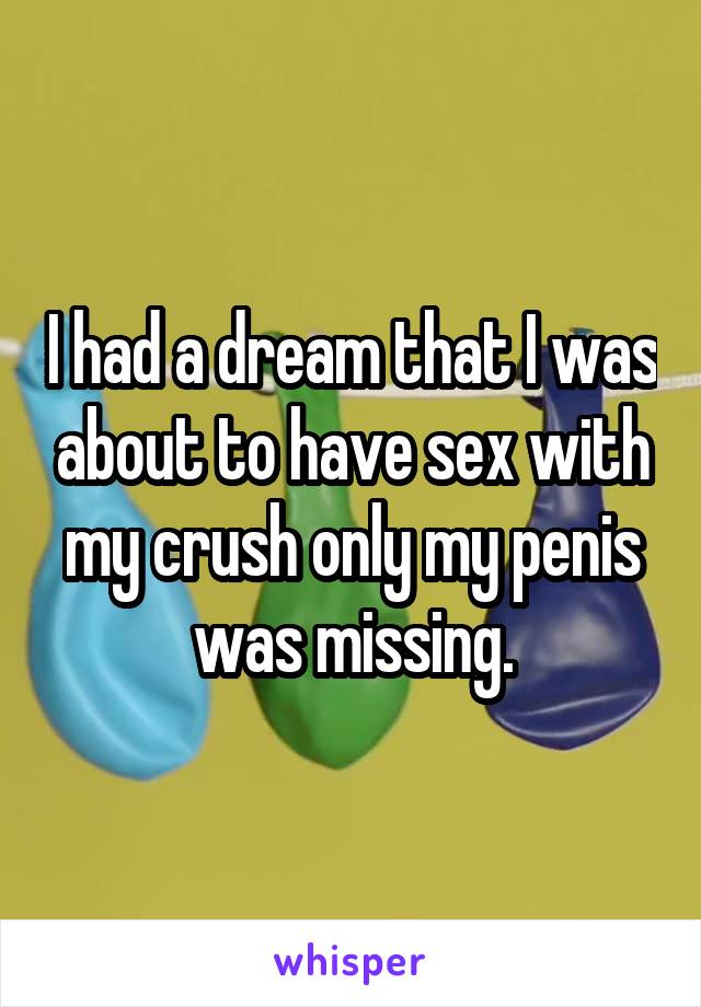I had a dream that I was about to have sex with my crush only my penis was missing.