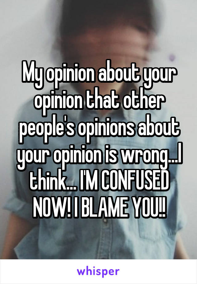 My opinion about your opinion that other people's opinions about your opinion is wrong...I think... I'M CONFUSED NOW! I BLAME YOU!!