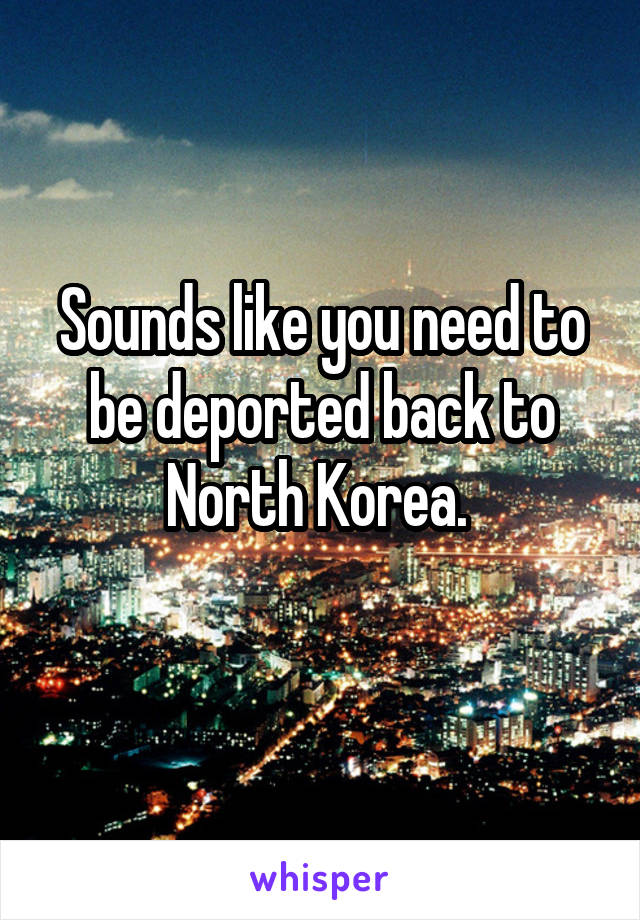 Sounds like you need to be deported back to North Korea. 
