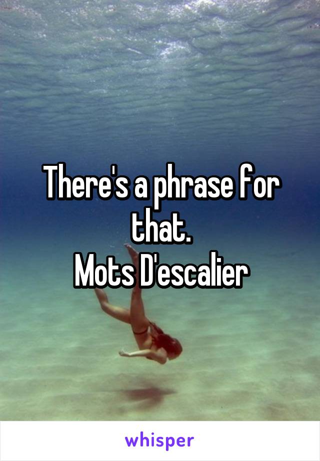 There's a phrase for that.
Mots D'escalier
