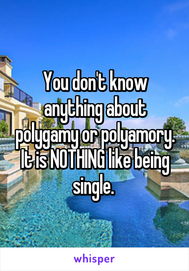 You don't know anything about polygamy or polyamory. It is NOTHING like being single. 