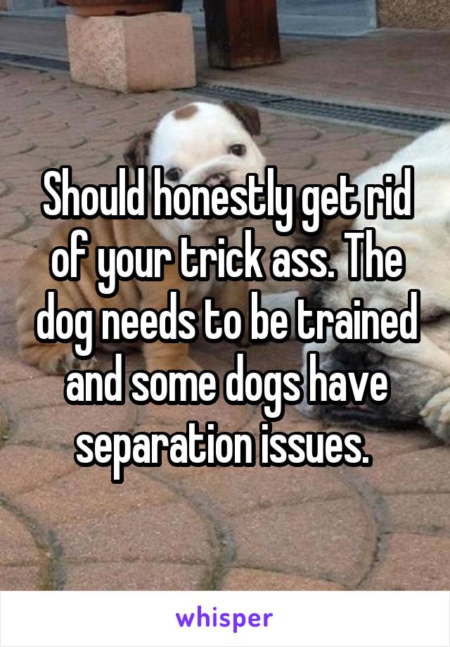 Should honestly get rid of your trick ass. The dog needs to be trained and some dogs have separation issues. 