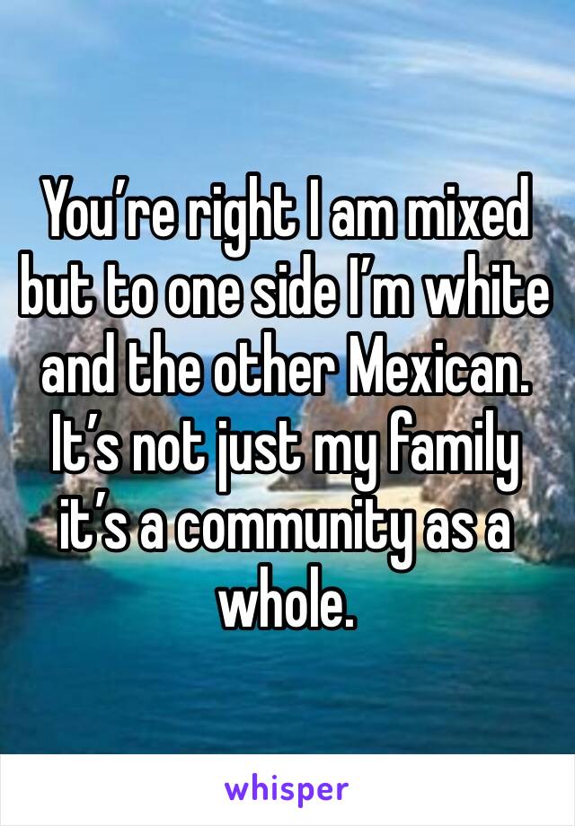 You’re right I am mixed but to one side I’m white and the other Mexican. It’s not just my family it’s a community as a whole. 