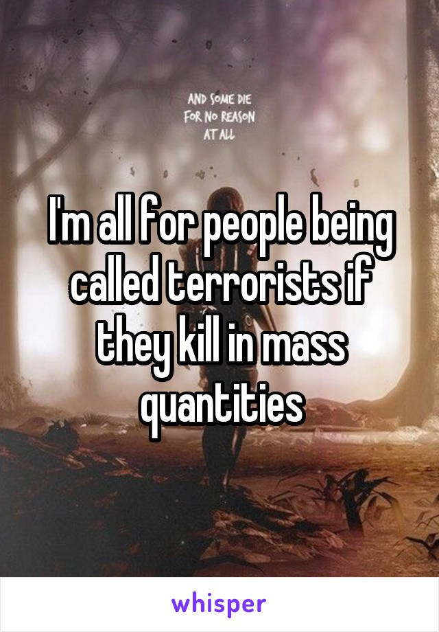 I'm all for people being called terrorists if they kill in mass quantities
