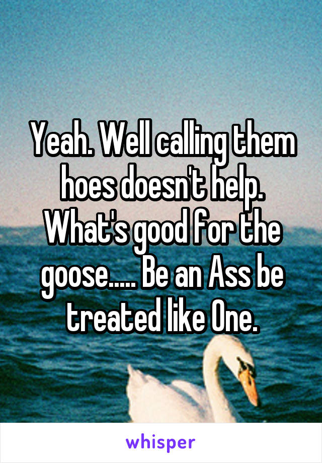 Yeah. Well calling them hoes doesn't help. What's good for the goose..... Be an Ass be treated like One.