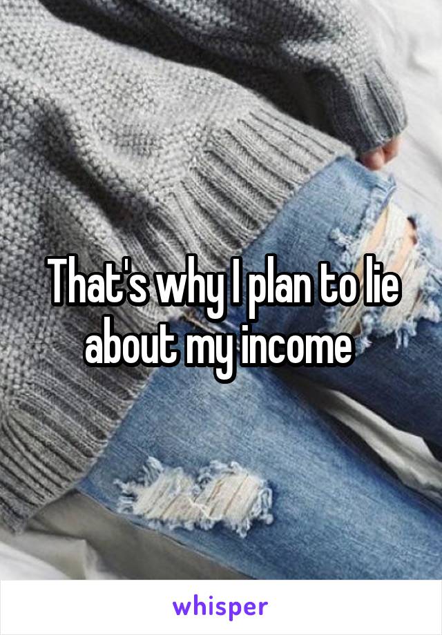 That's why I plan to lie about my income 