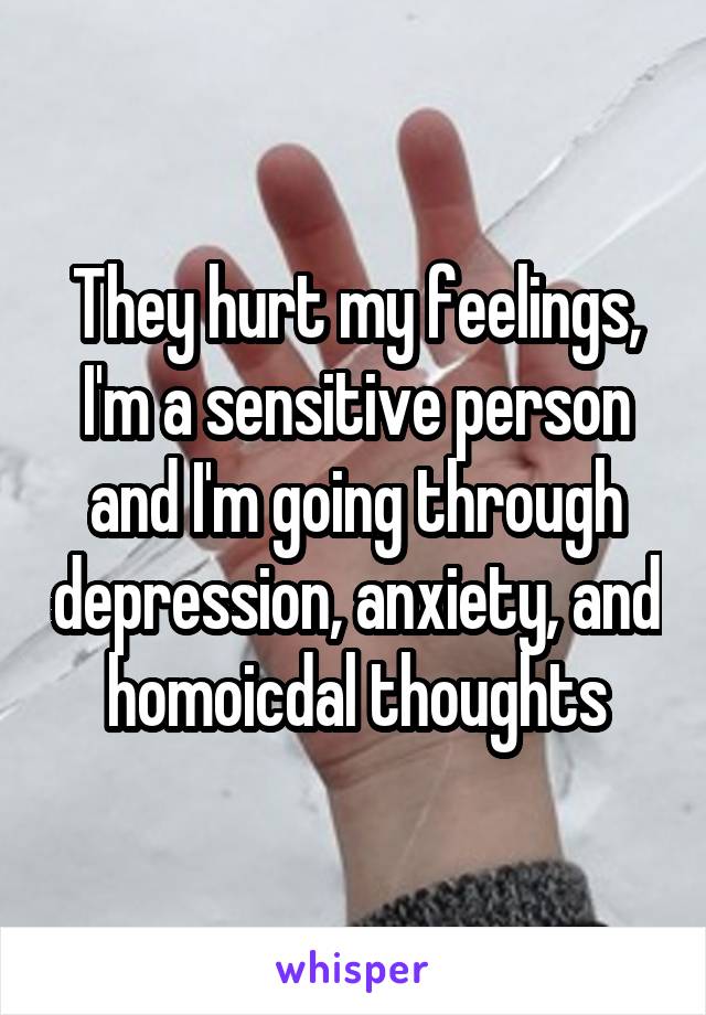 They hurt my feelings, I'm a sensitive person and I'm going through depression, anxiety, and homoicdal thoughts