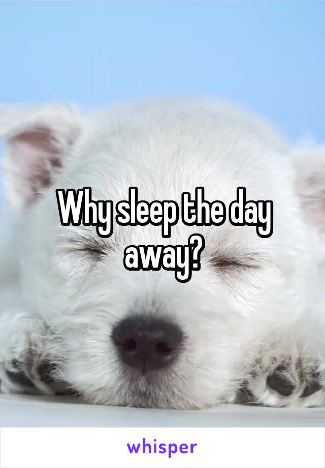 Why sleep the day away?