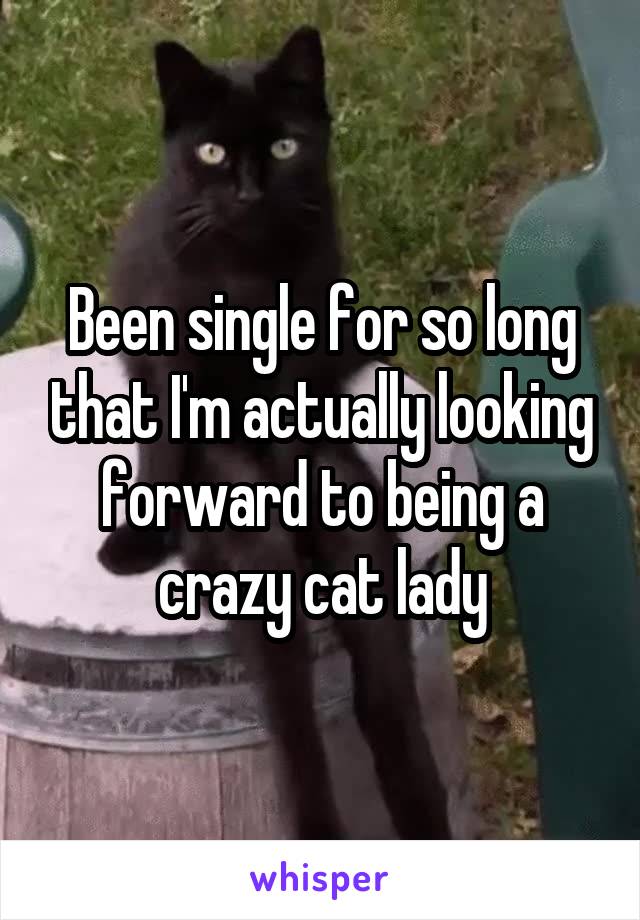 Been single for so long that I'm actually looking forward to being a crazy cat lady