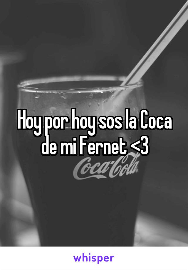 Hoy por hoy sos la Coca de mi Fernet <3