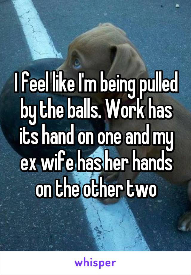 I feel like I'm being pulled by the balls. Work has its hand on one and my ex wife has her hands on the other two