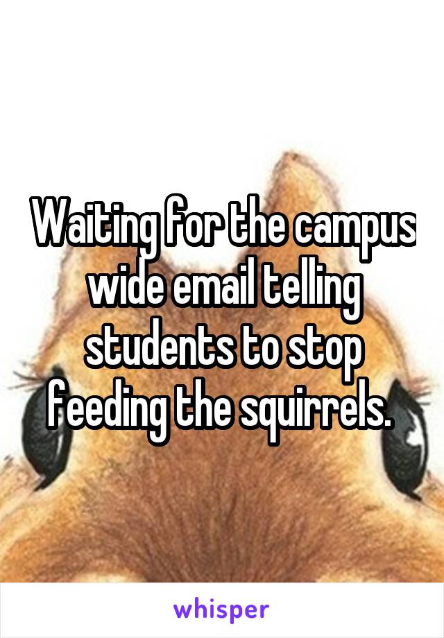 Waiting for the campus wide email telling students to stop feeding the squirrels. 