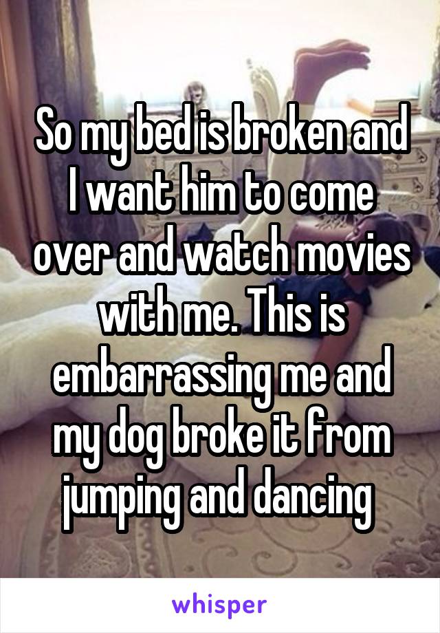 So my bed is broken and I want him to come over and watch movies with me. This is embarrassing me and my dog broke it from jumping and dancing 