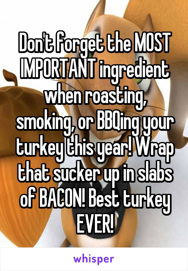 Don't forget the MOST IMPORTANT ingredient when roasting, smoking, or BBQing your turkey this year! Wrap that sucker up in slabs of BACON! Best turkey EVER!
