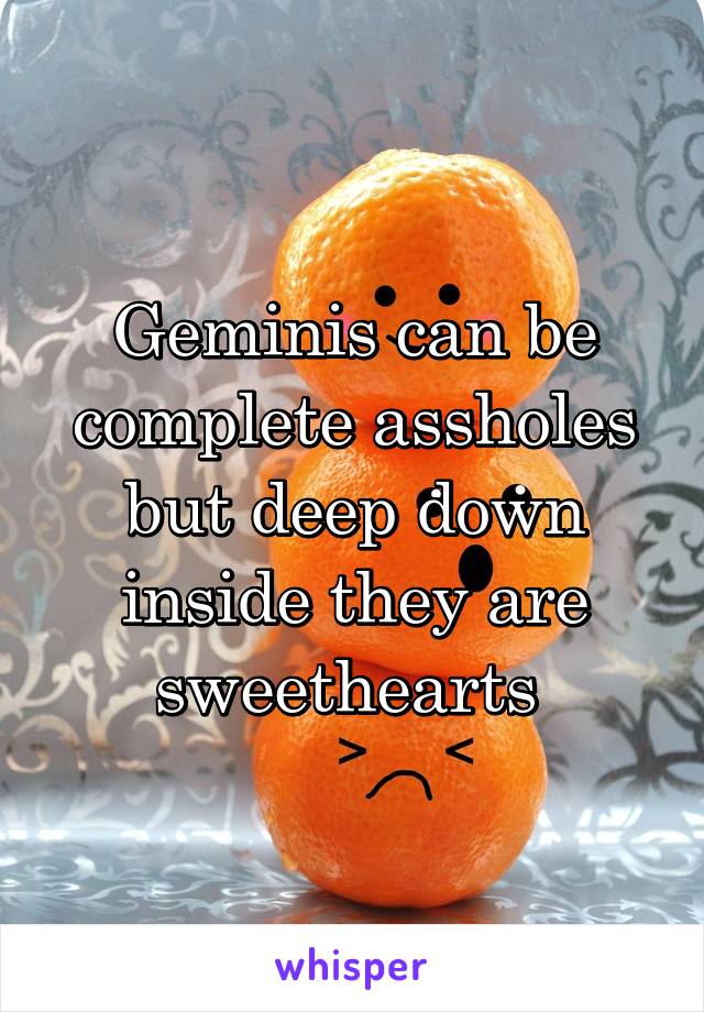 Geminis can be complete assholes but deep down inside they are sweethearts 