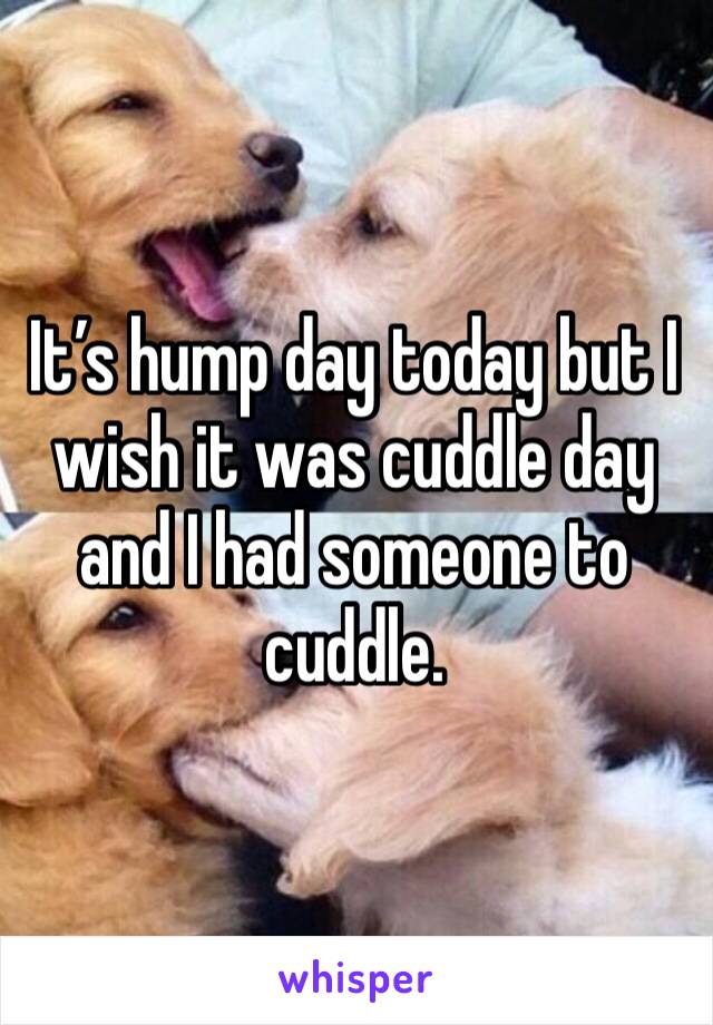 It’s hump day today but I wish it was cuddle day and I had someone to cuddle. 