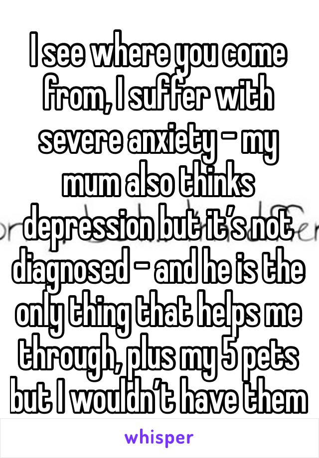 I see where you come from, I suffer with severe anxiety - my mum also thinks depression but it’s not diagnosed - and he is the only thing that helps me through, plus my 5 pets but I wouldn’t have them