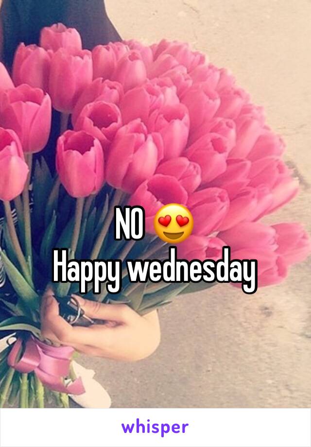 NO 😍
Happy wednesday 