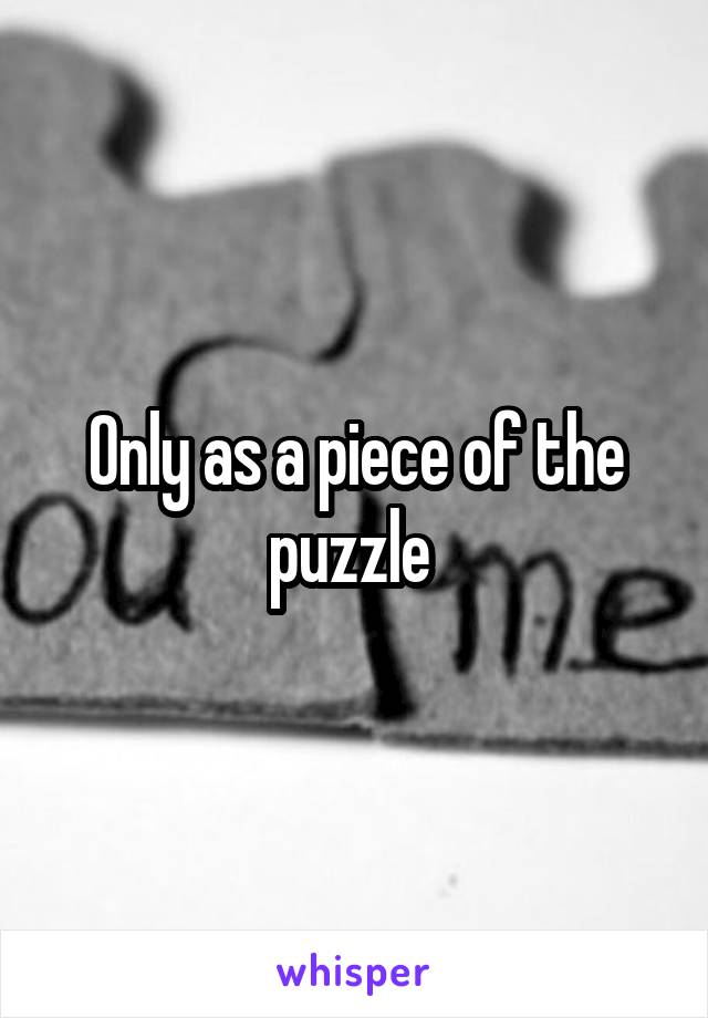 Only as a piece of the puzzle 