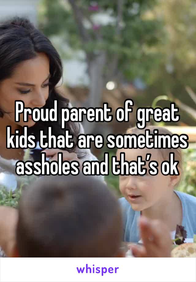 Proud parent of great kids that are sometimes assholes and that’s ok