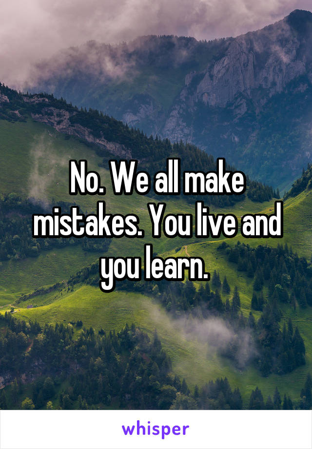 No. We all make mistakes. You live and you learn. 