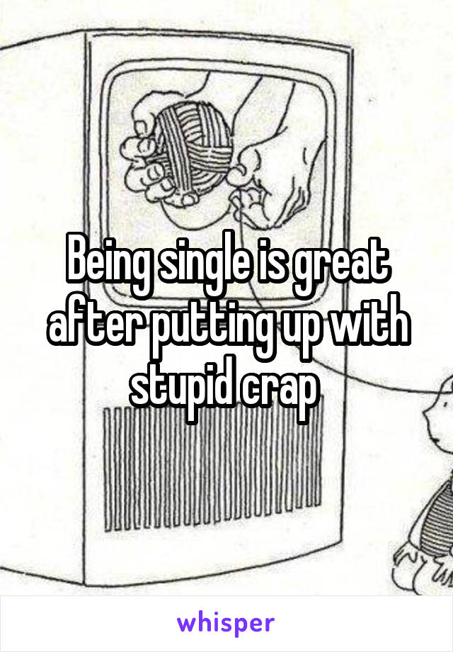 Being single is great after putting up with stupid crap 
