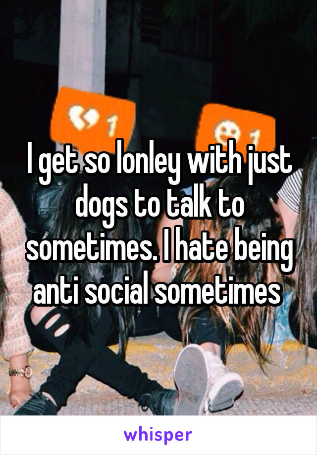 I get so lonley with just dogs to talk to sometimes. I hate being anti social sometimes 