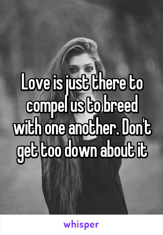 Love is just there to compel us to breed with one another. Don't get too down about it