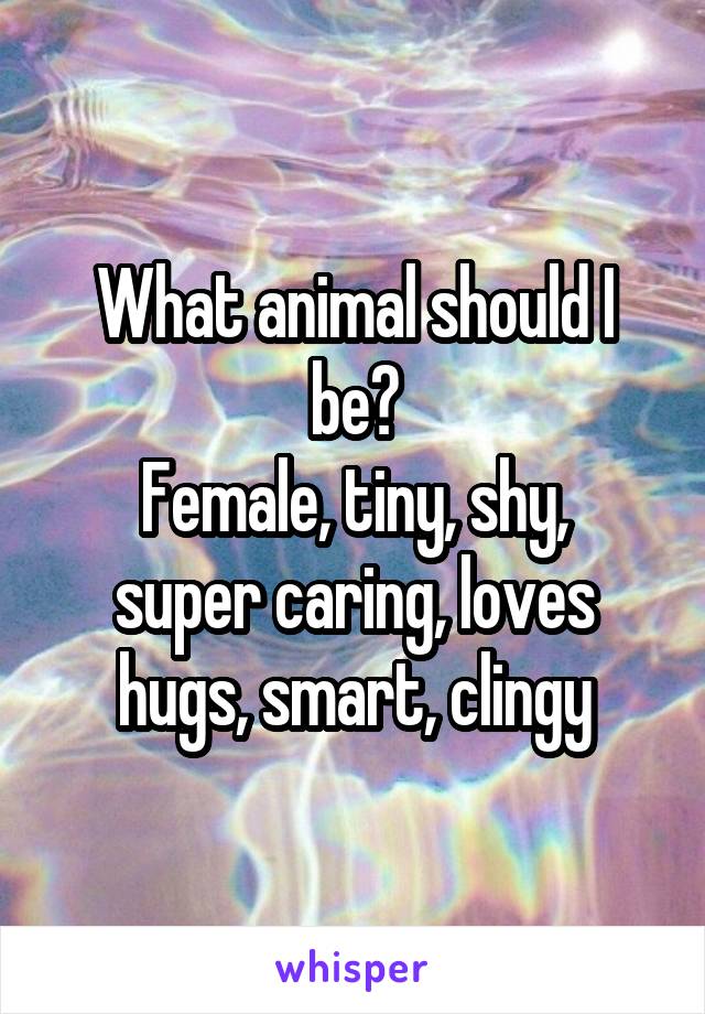 What animal should I be?
Female, tiny, shy, super caring, loves hugs, smart, clingy