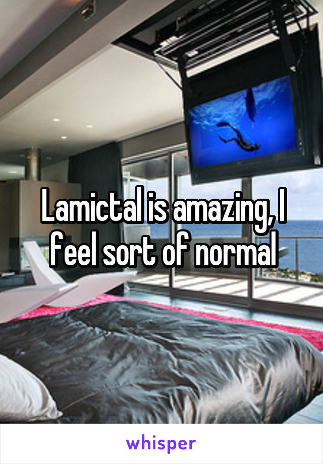 Lamictal is amazing, I feel sort of normal