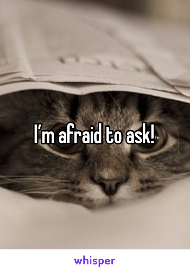 I’m afraid to ask!