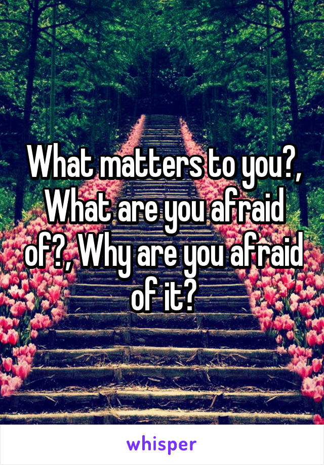 What matters to you?, What are you afraid of?, Why are you afraid of it?