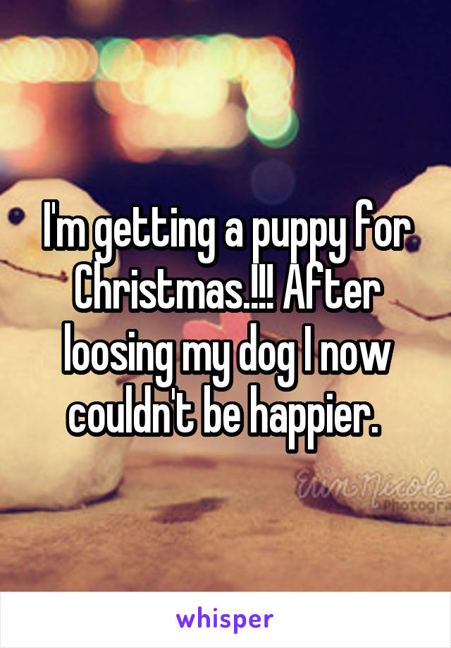 I'm getting a puppy for Christmas.!!! After loosing my dog I now couldn't be happier. 