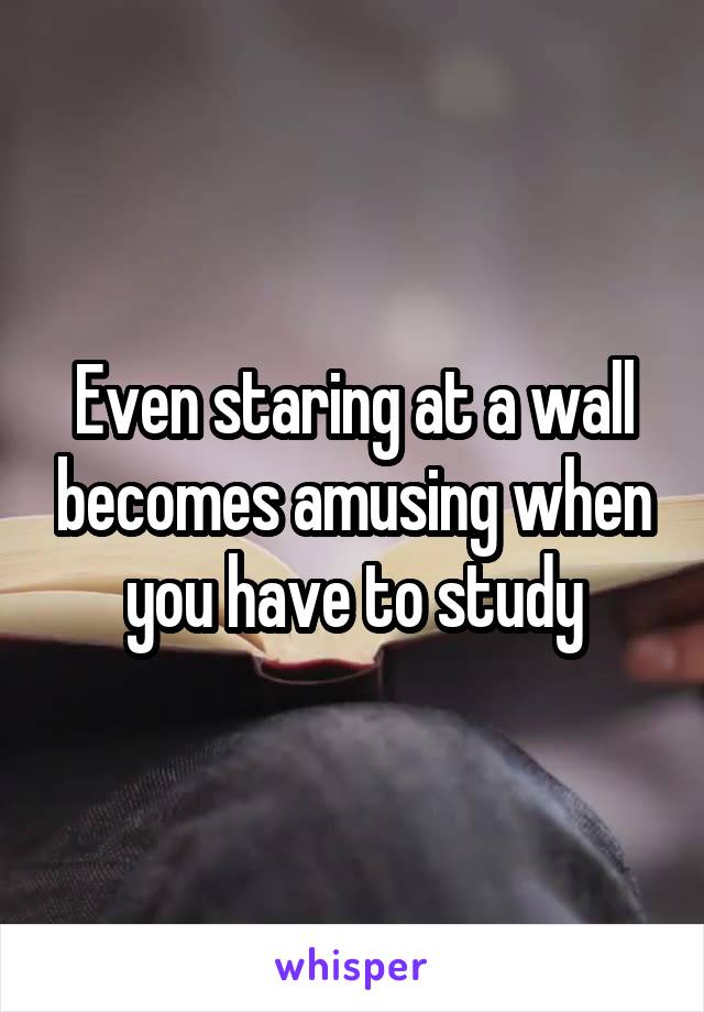 Even staring at a wall becomes amusing when you have to study