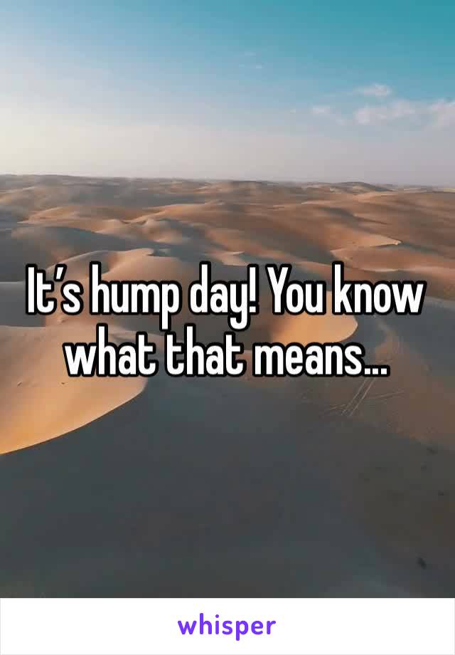 It’s hump day! You know what that means... 