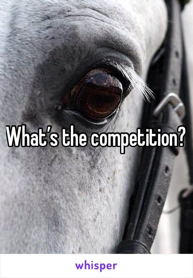 What’s the competition? 