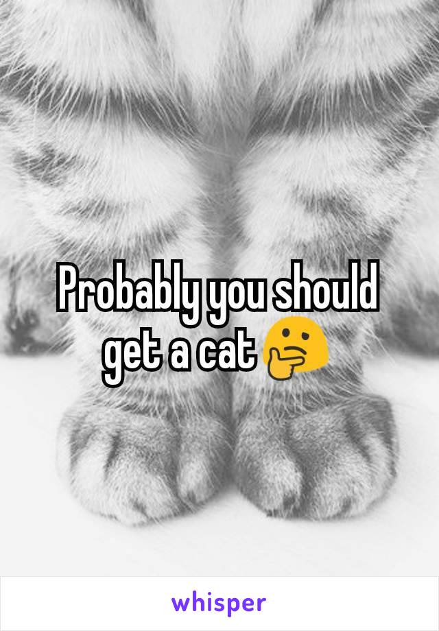 Probably you should get a cat🤔
