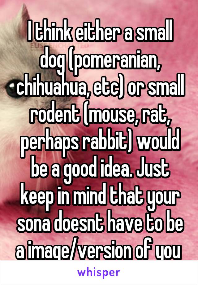 I think either a small dog (pomeranian, chihuahua, etc) or small rodent (mouse, rat, perhaps rabbit) would be a good idea. Just keep in mind that your sona doesnt have to be a image/version of you 