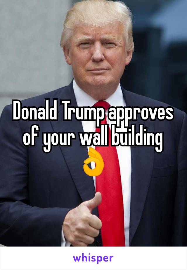 Donald Trump approves of your wall building 👌