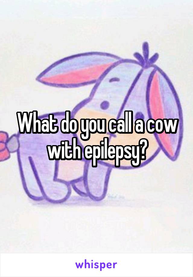 What do you call a cow with epilepsy?