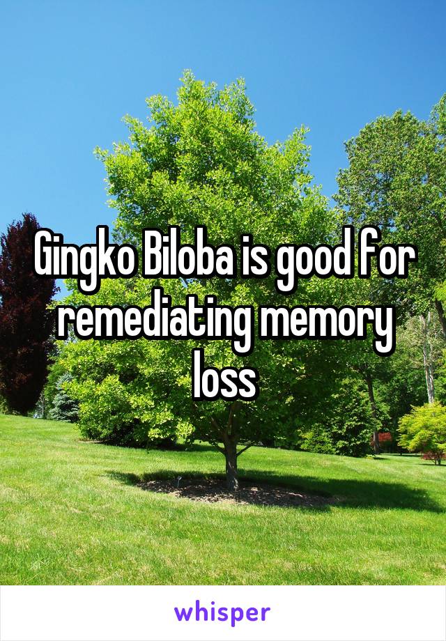 Gingko Biloba is good for remediating memory loss