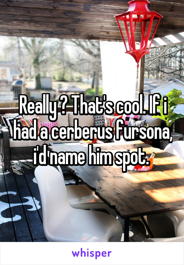 Really ? That's cool. If i had a cerberus fursona, i'd name him spot. 